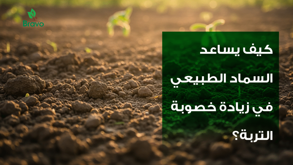 كيف يساعد السماد الطبيعي في زيادة خصوبة التربة؟