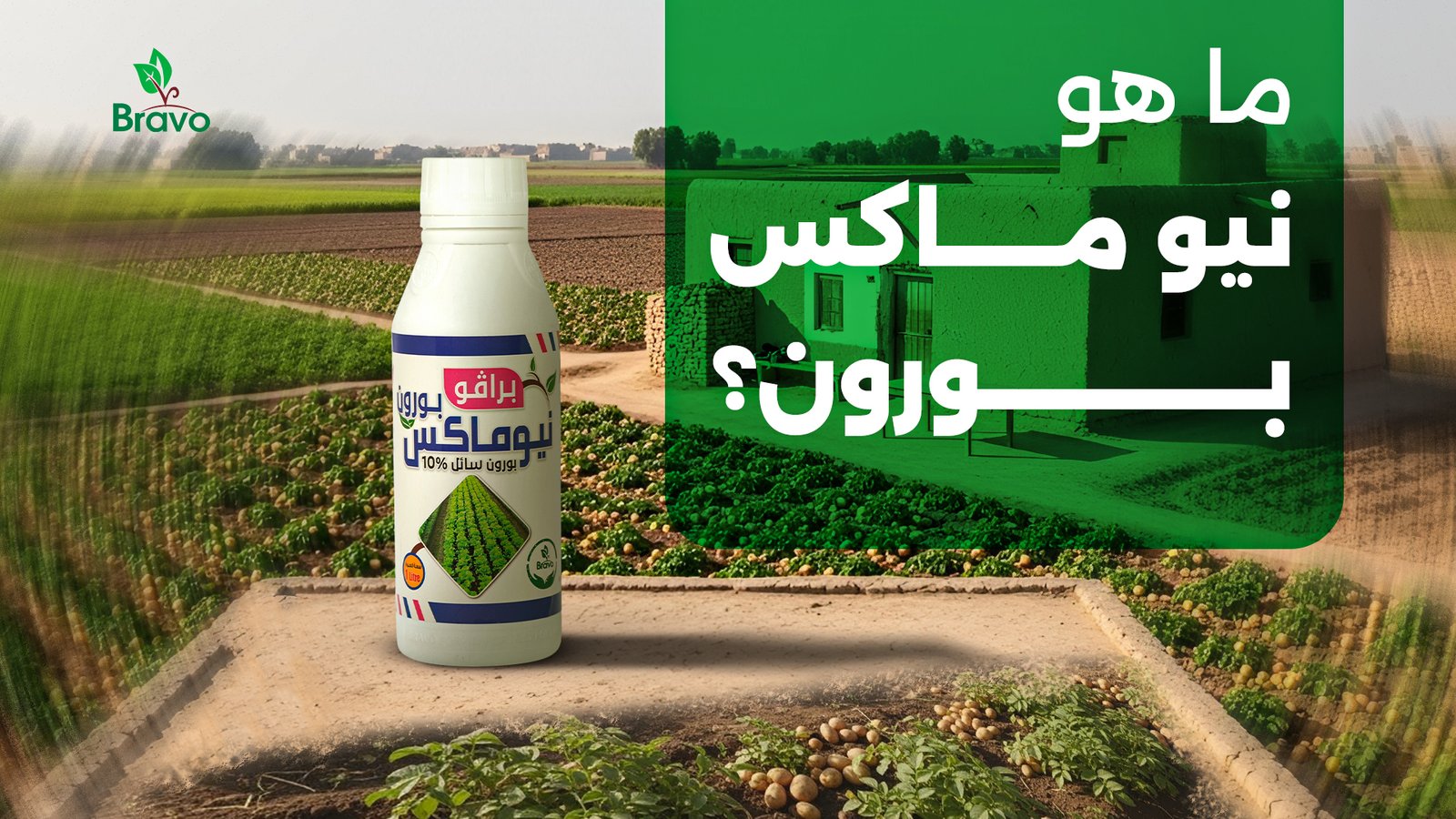 نيو ماكس بورون سماد