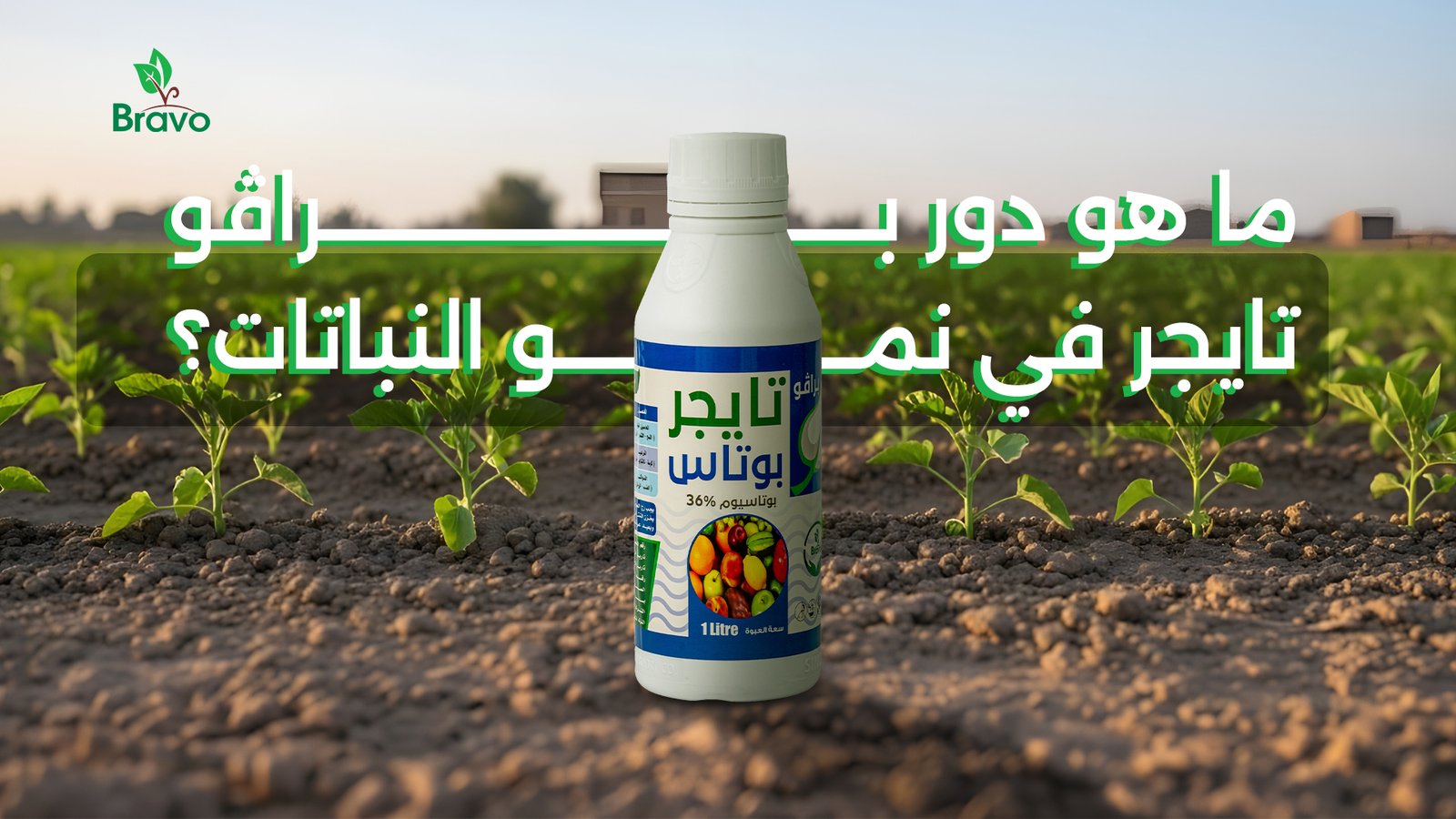 براڤو تايجر مبيد