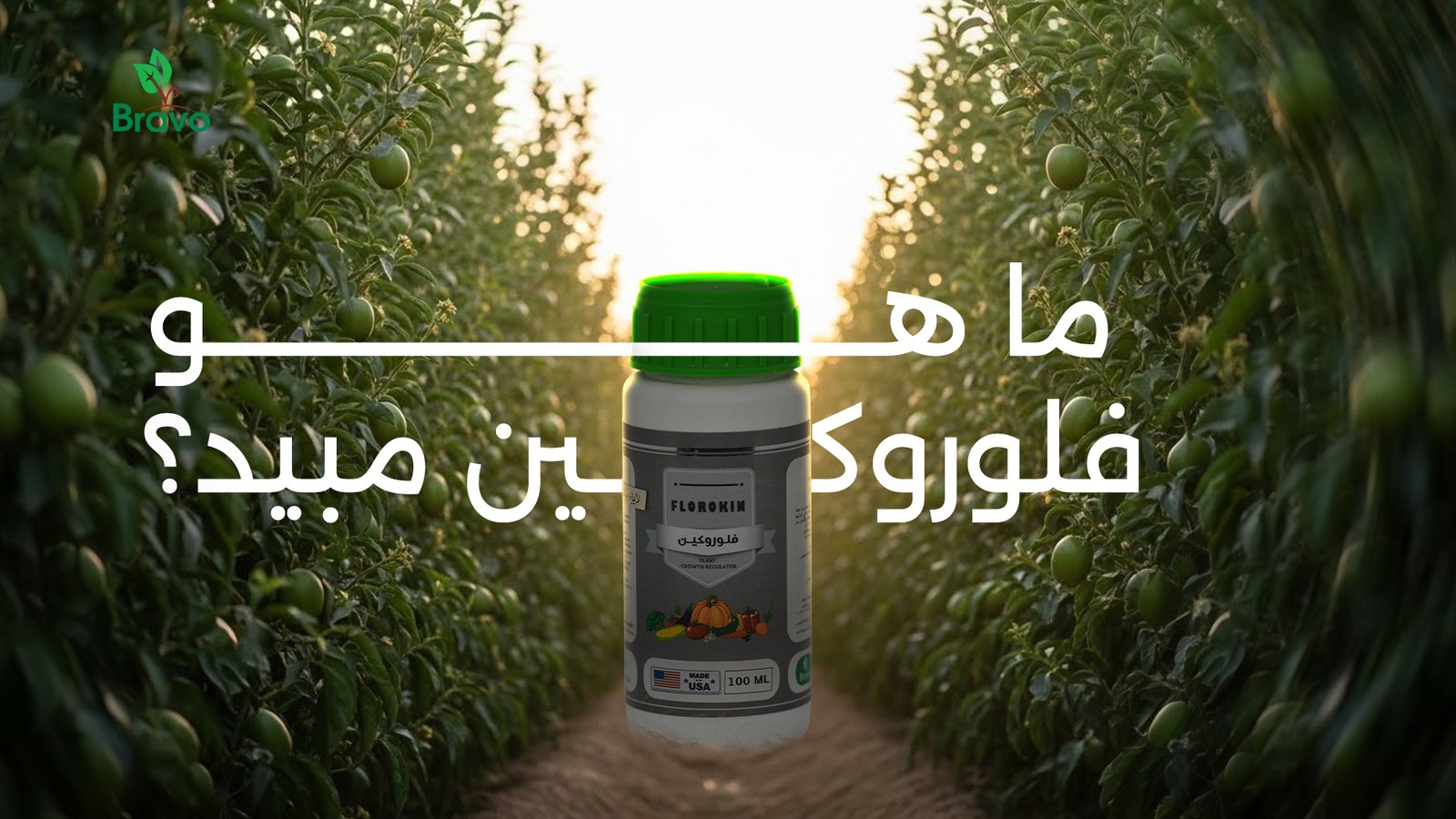 فلوروكين مبيد