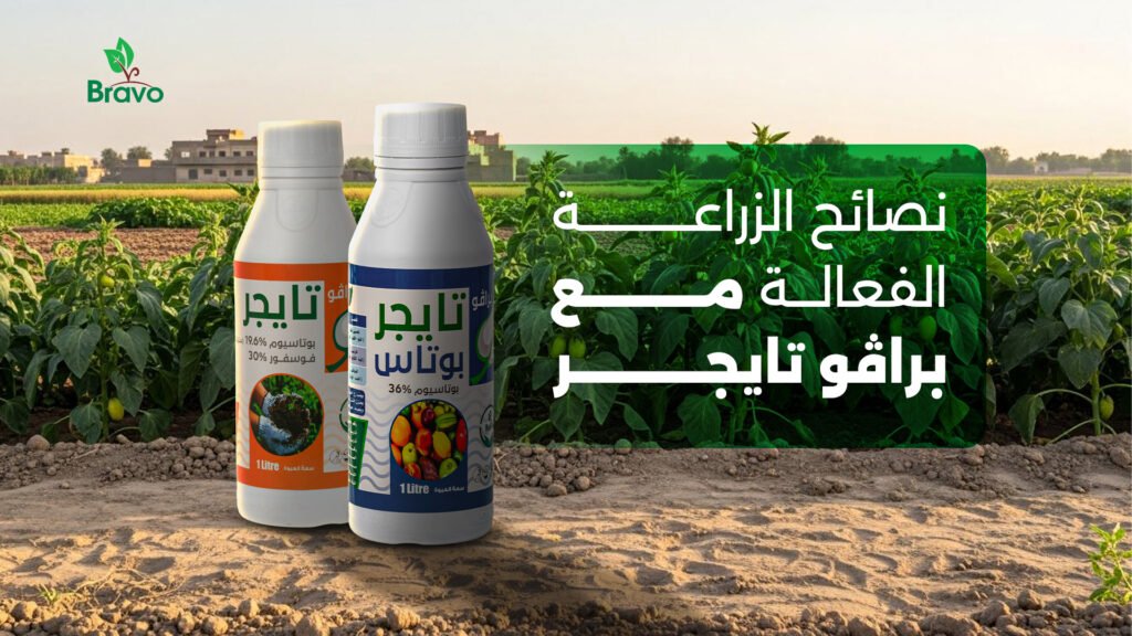 نصائح الزراعة الفعالة مع براڤو تايجر