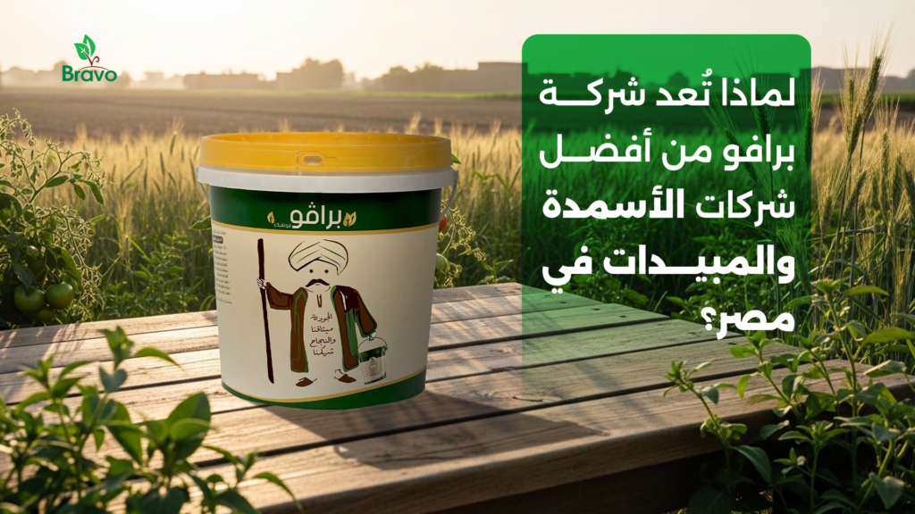 لماذا تُعد شركة برافو من أفضل شركات الأسمدة والمبيدات في مصر؟